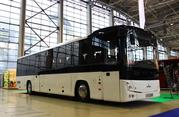 Новый автобус МАЗ 231 062